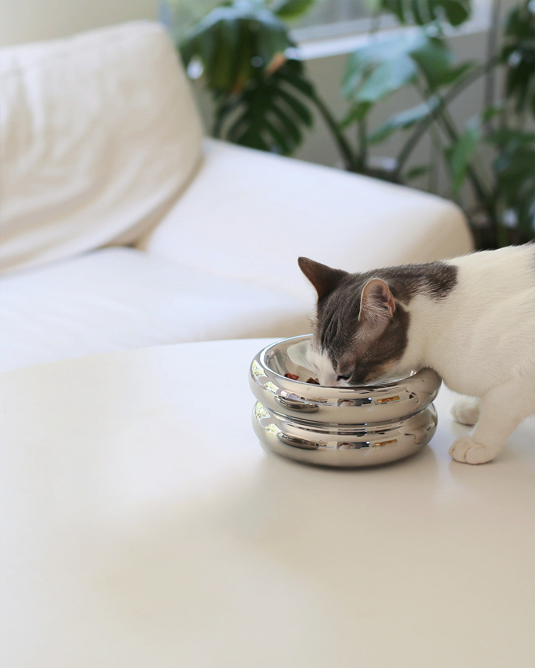 Msdfvs | Chrome Finish Elevated Pet Bowl Stand for Modern Indoor Feeding Areas