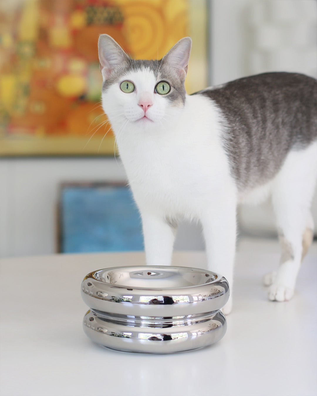 Msdfvs | Chrome Finish Elevated Pet Bowl Stand for Modern Indoor Feeding Areas