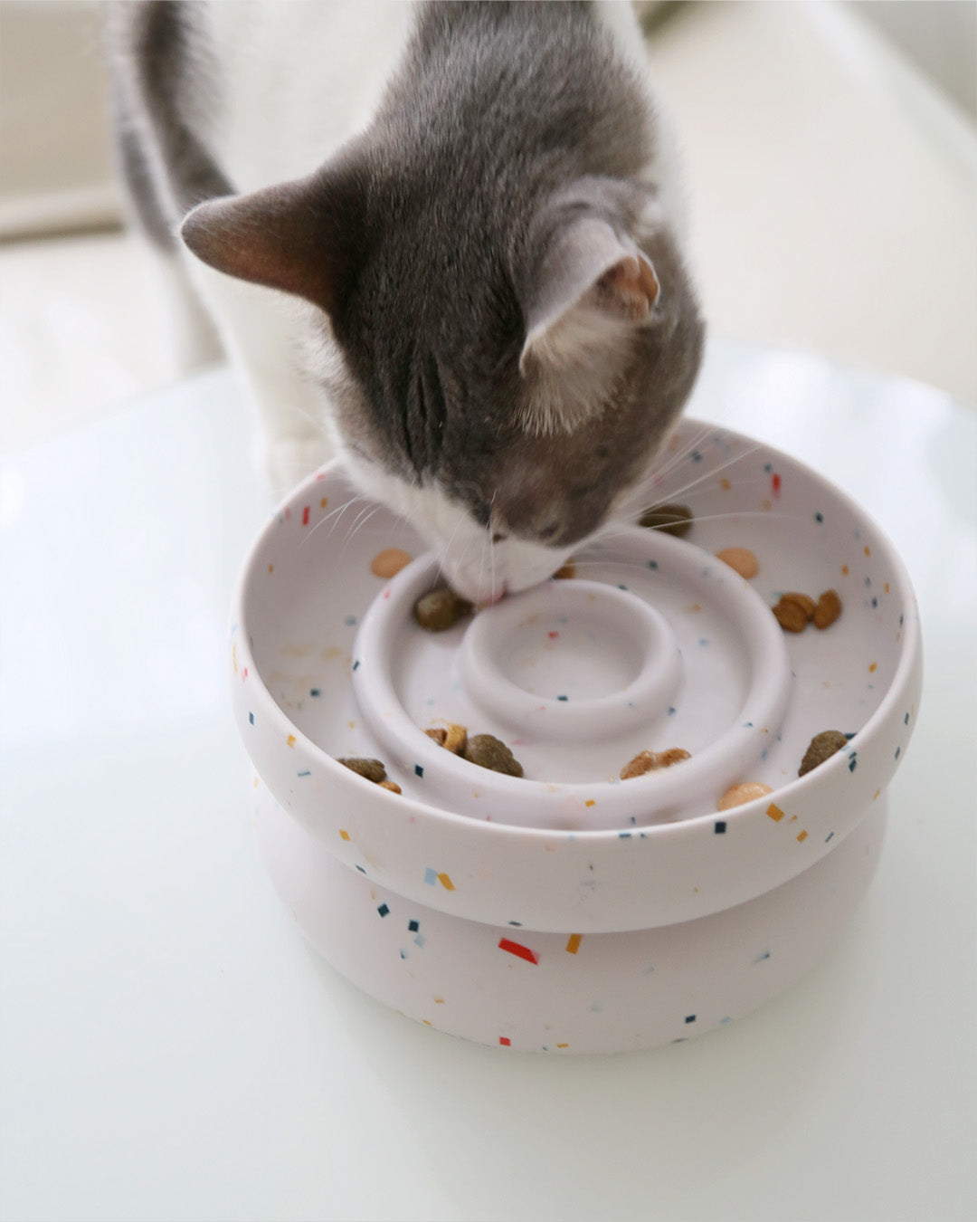 Msdfvs | Tempo Style Elevated Pet Bowl Stand for Rhythm-Based Indoor Layouts