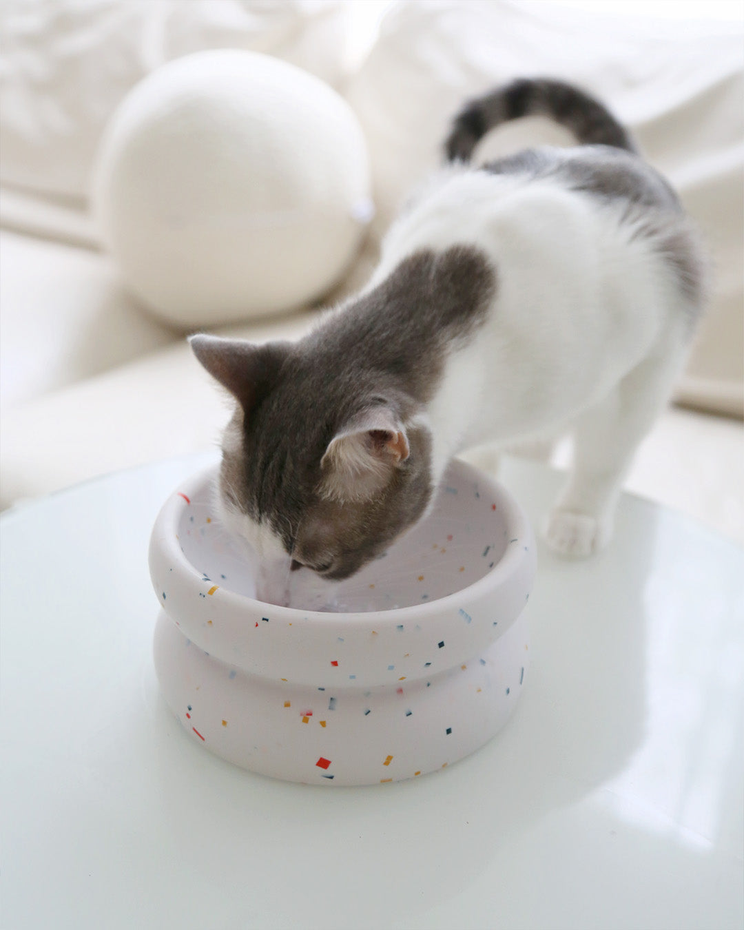 Msdfvs | Tempo Style Elevated Pet Bowl Stand for Rhythm-Based Indoor Layouts