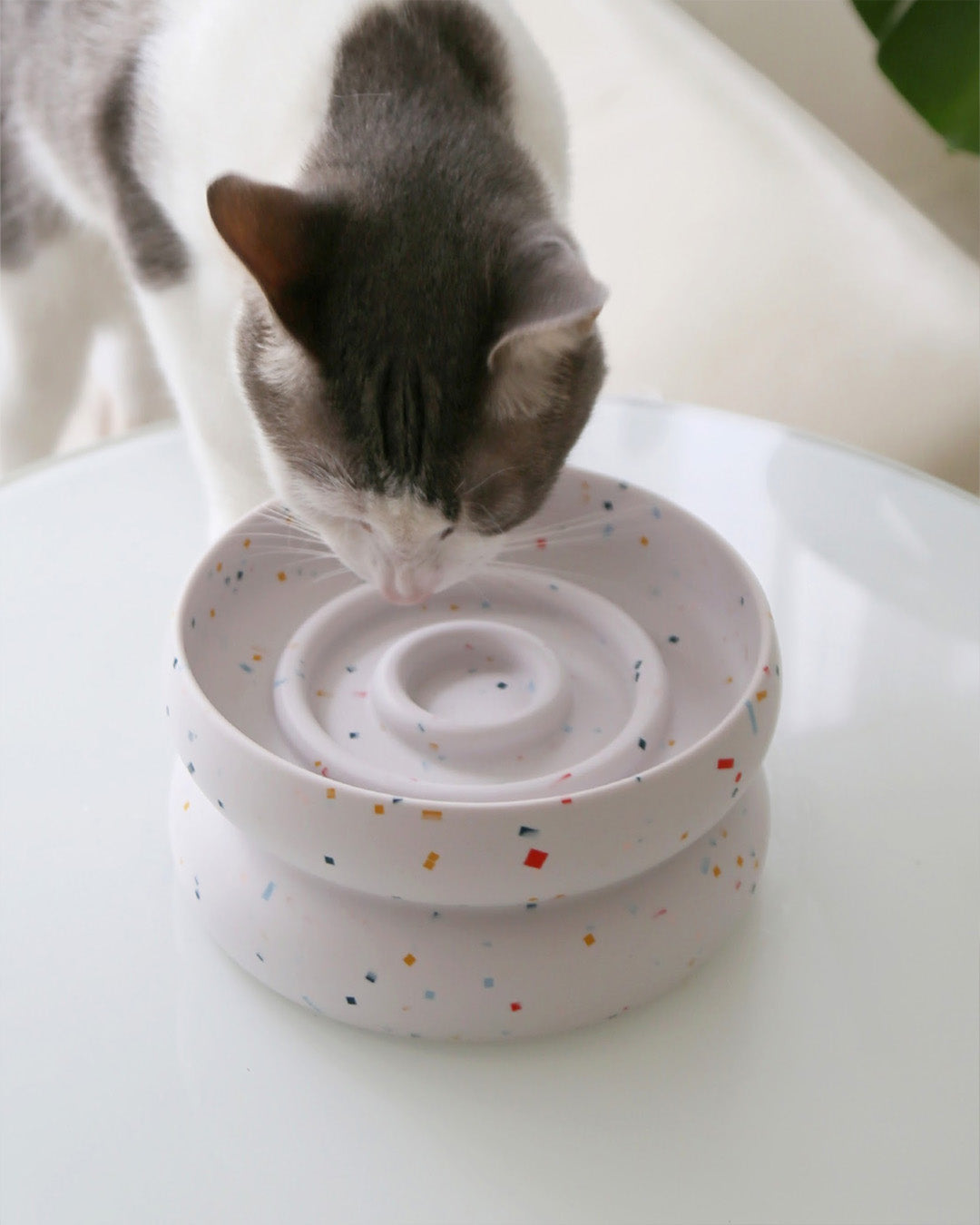 Msdfvs | Tempo Style Elevated Pet Bowl Stand for Rhythm-Based Indoor Layouts
