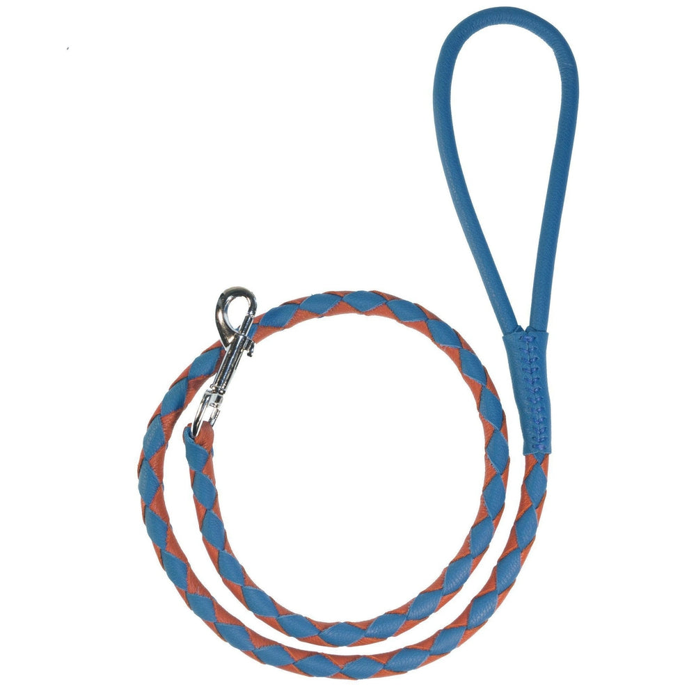 Msdfvs | Dual-Color Braided Leather Round Lead – Training, Urban Walks & Outdoor Adventures