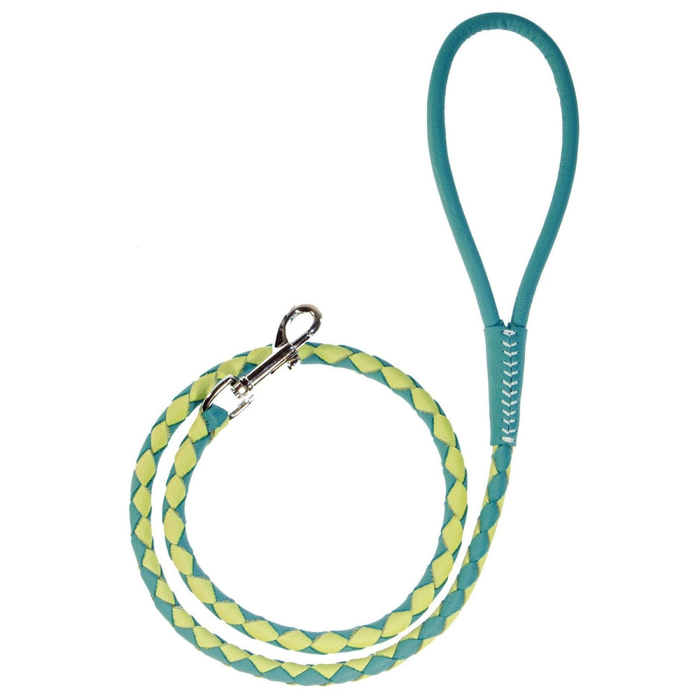 Msdfvs | Dual-Color Braided Leather Round Lead – Training, Urban Walks & Outdoor Adventures