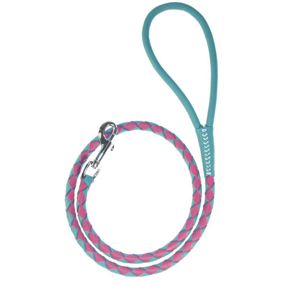 Msdfvs | Dual-Color Braided Leather Round Lead – Training, Urban Walks & Outdoor Adventures