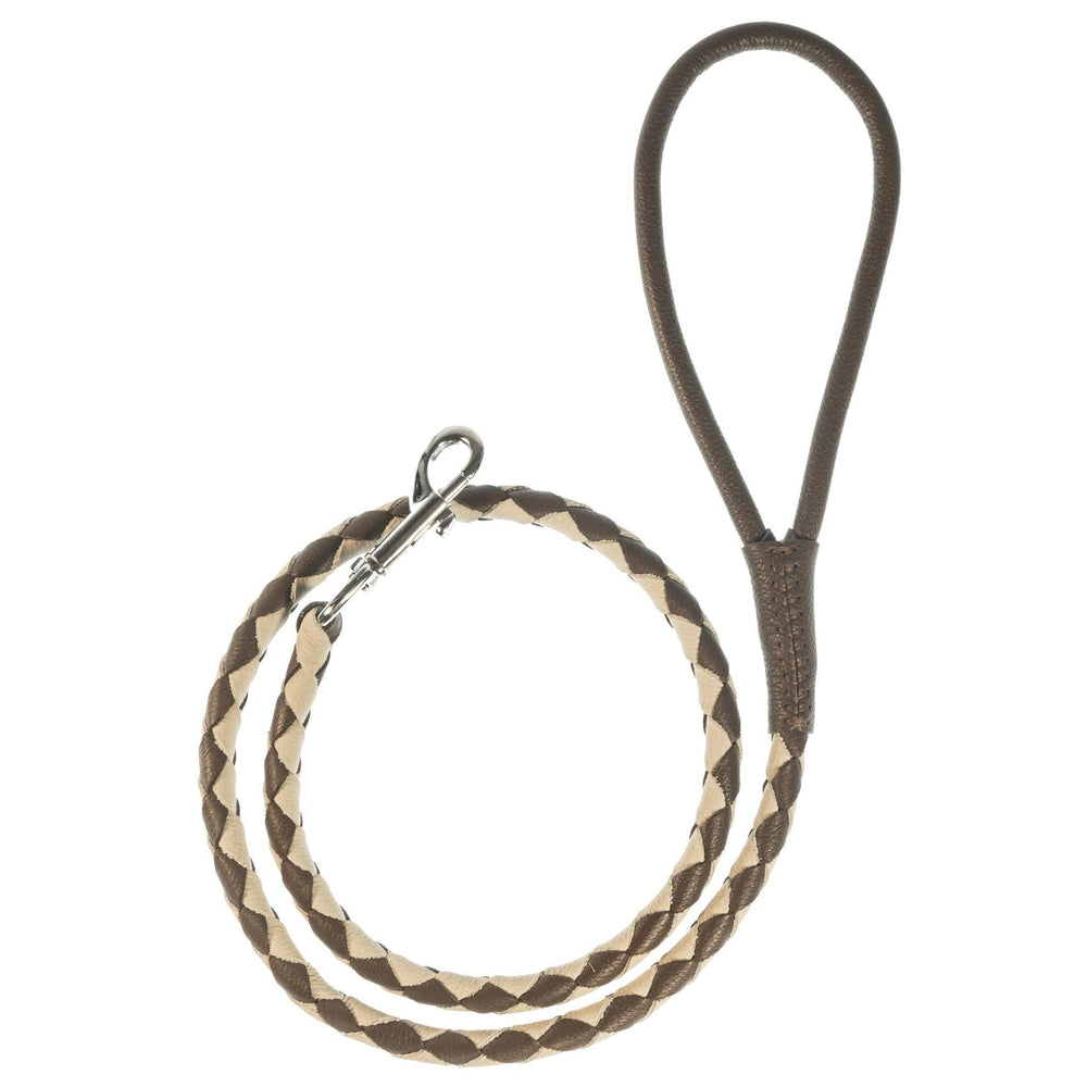 Msdfvs | Dual-Color Braided Leather Round Lead – Training, Urban Walks & Outdoor Adventures