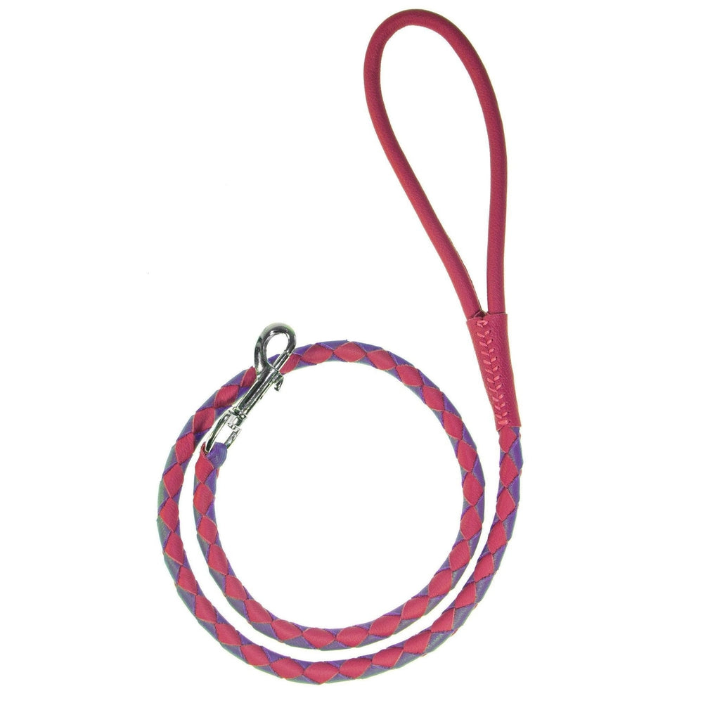 Msdfvs | Dual-Color Braided Leather Round Lead – Training, Urban Walks & Outdoor Adventures