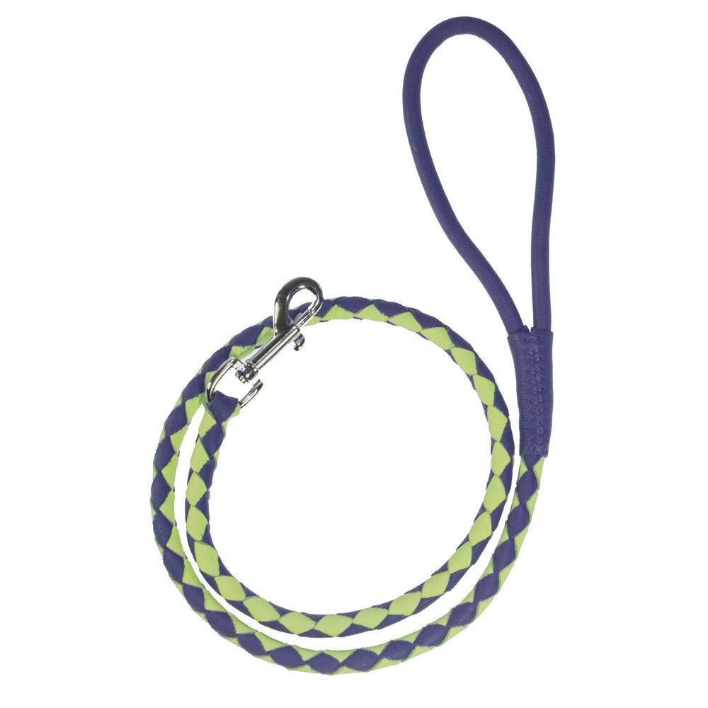 Msdfvs | Dual-Color Braided Leather Round Lead – Training, Urban Walks & Outdoor Adventures