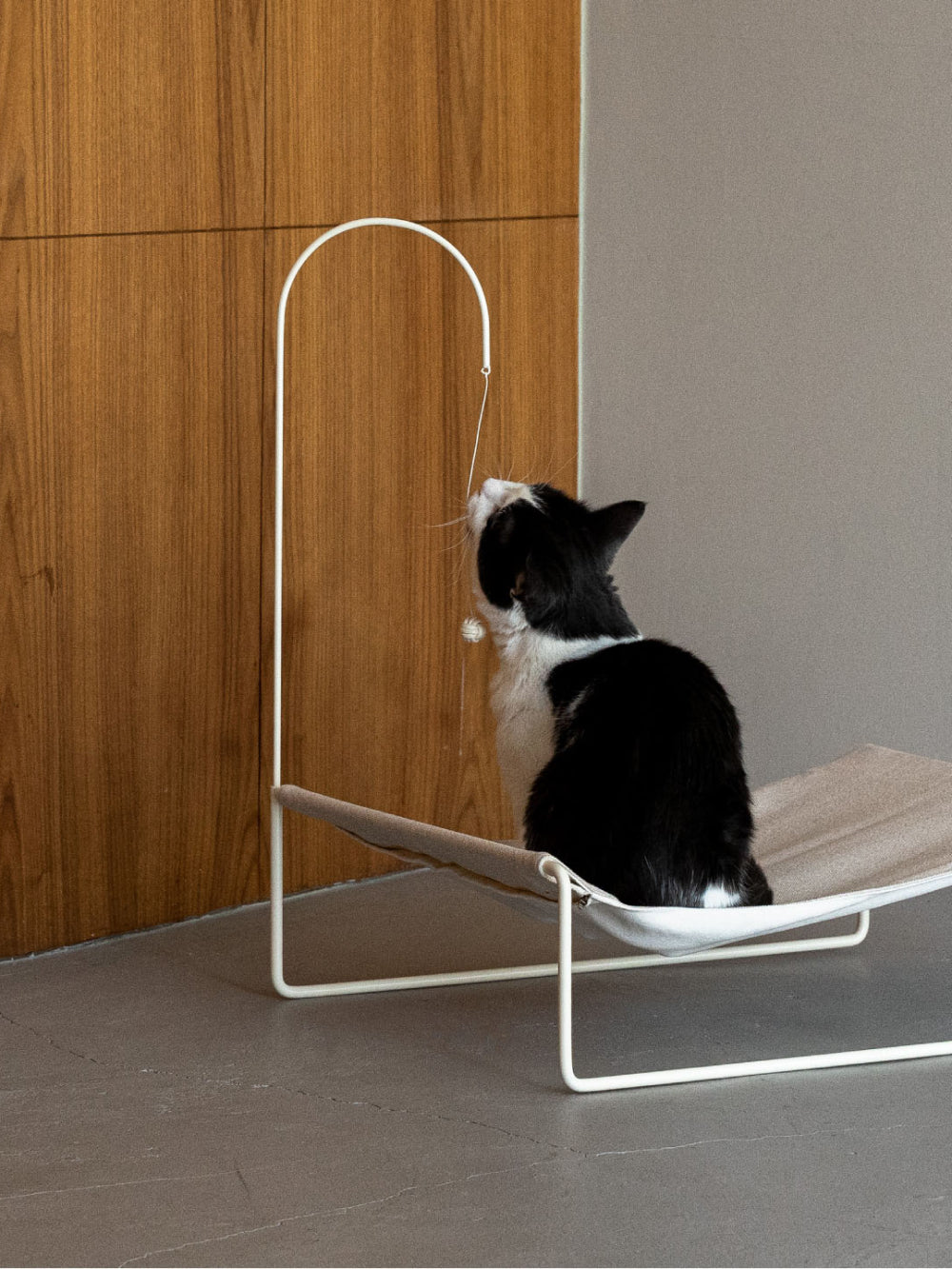 Msdfvs | Hanging Pet Hammock for Elevated Indoor Resting Spaces
