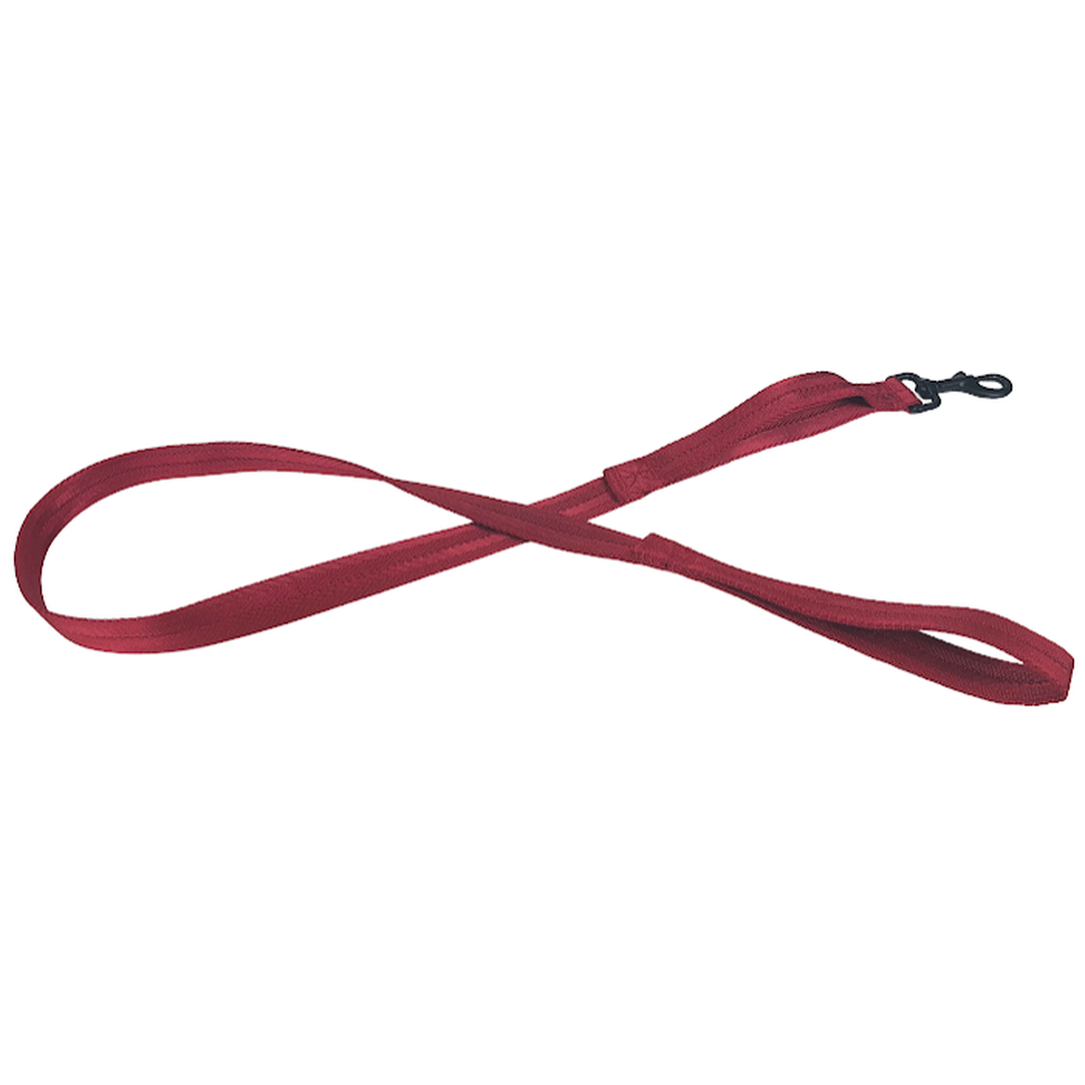 Msdfvs | Nylon Flat Dog Leash with Built-In Traffic Handle – Urban Safety, Training & Outdoor Control
