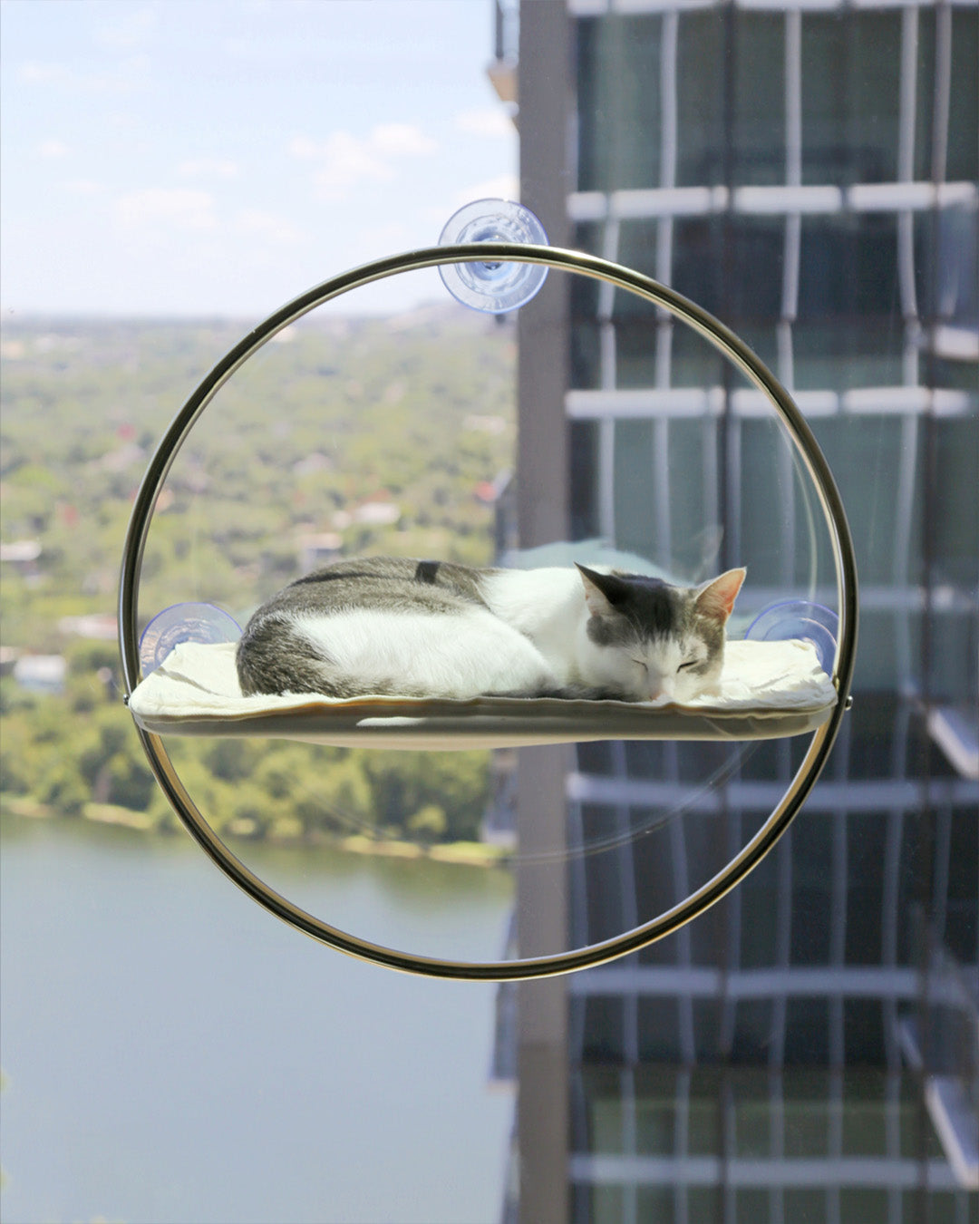 Msdfvs | Window-Mounted Cat Hammock for Elevated Indoor Viewing Areas