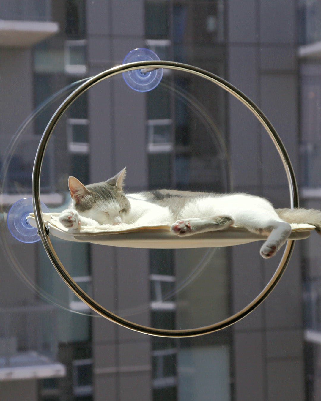 Msdfvs | Window-Mounted Cat Hammock for Elevated Indoor Viewing Areas