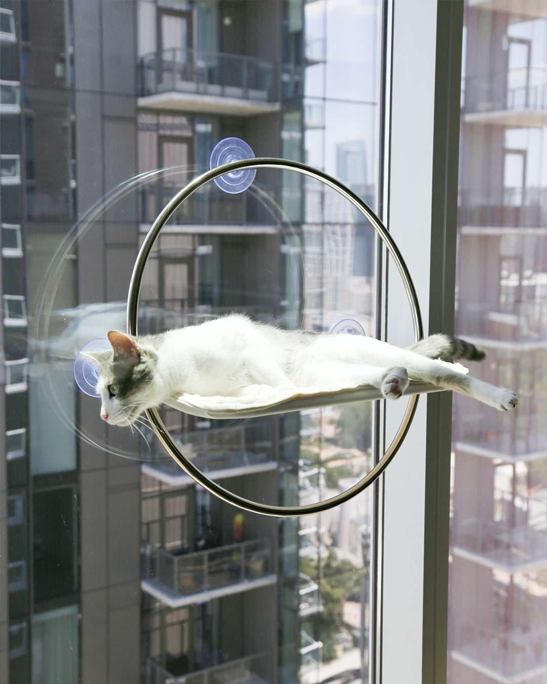 Msdfvs | Window-Mounted Cat Hammock for Elevated Indoor Viewing Areas
