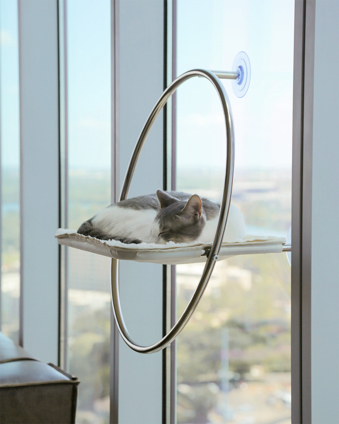 Msdfvs | Window-Mounted Cat Hammock for Elevated Indoor Viewing Areas