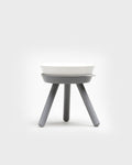 Msdfvs | Gray Tall Pet Table for Visually Anchored Indoor Feeding Areas