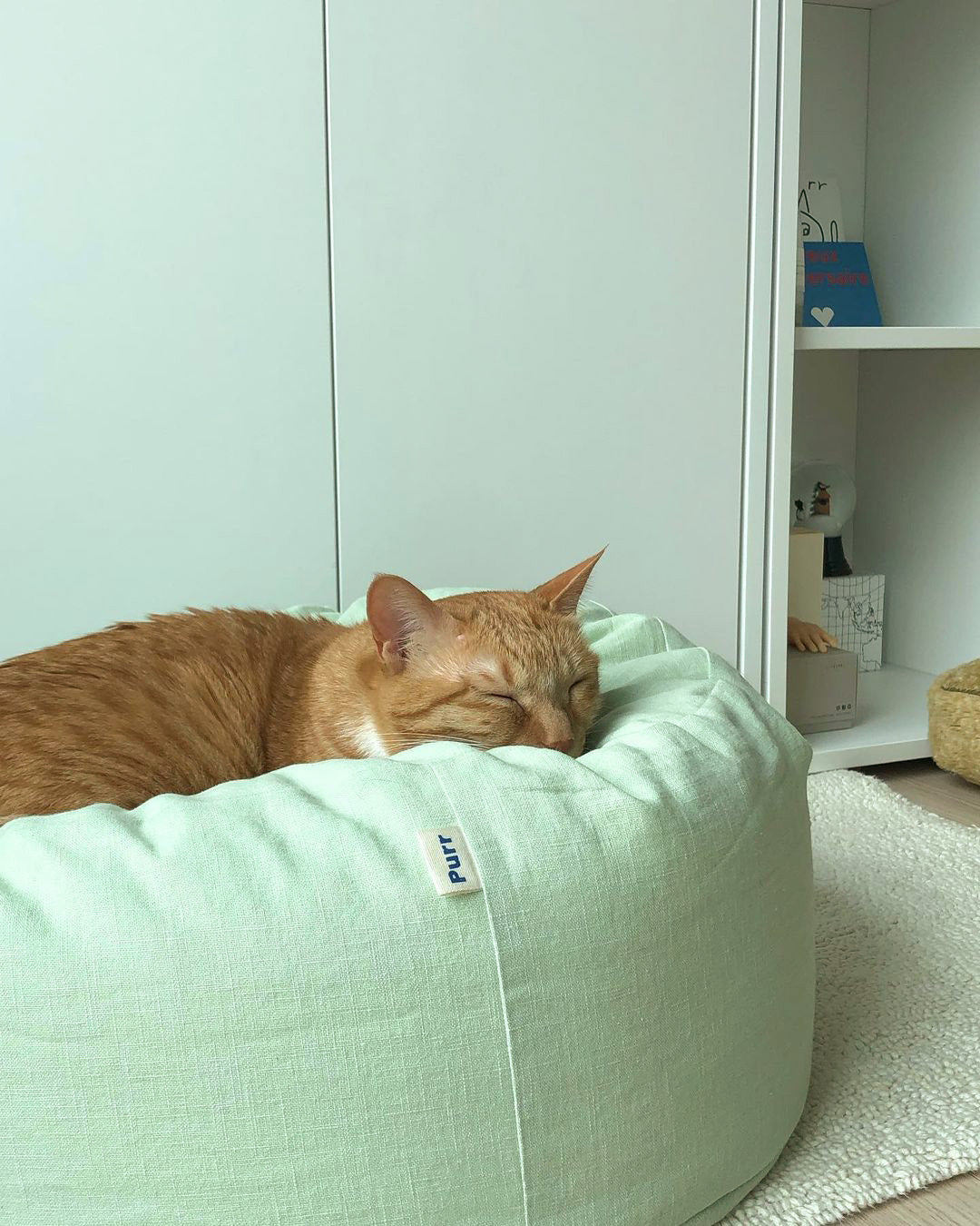 Msdfvs | Mint Tone Pet Pouf Cushion for Everyday Indoor Living Areas