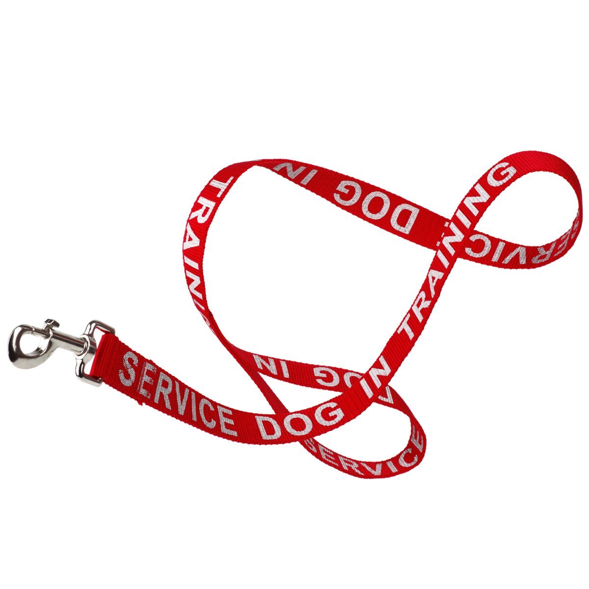 Msdfvs | Reflective Nylon Dog Leash – Evening Walks, Training Sessions & Outdoor Adventures