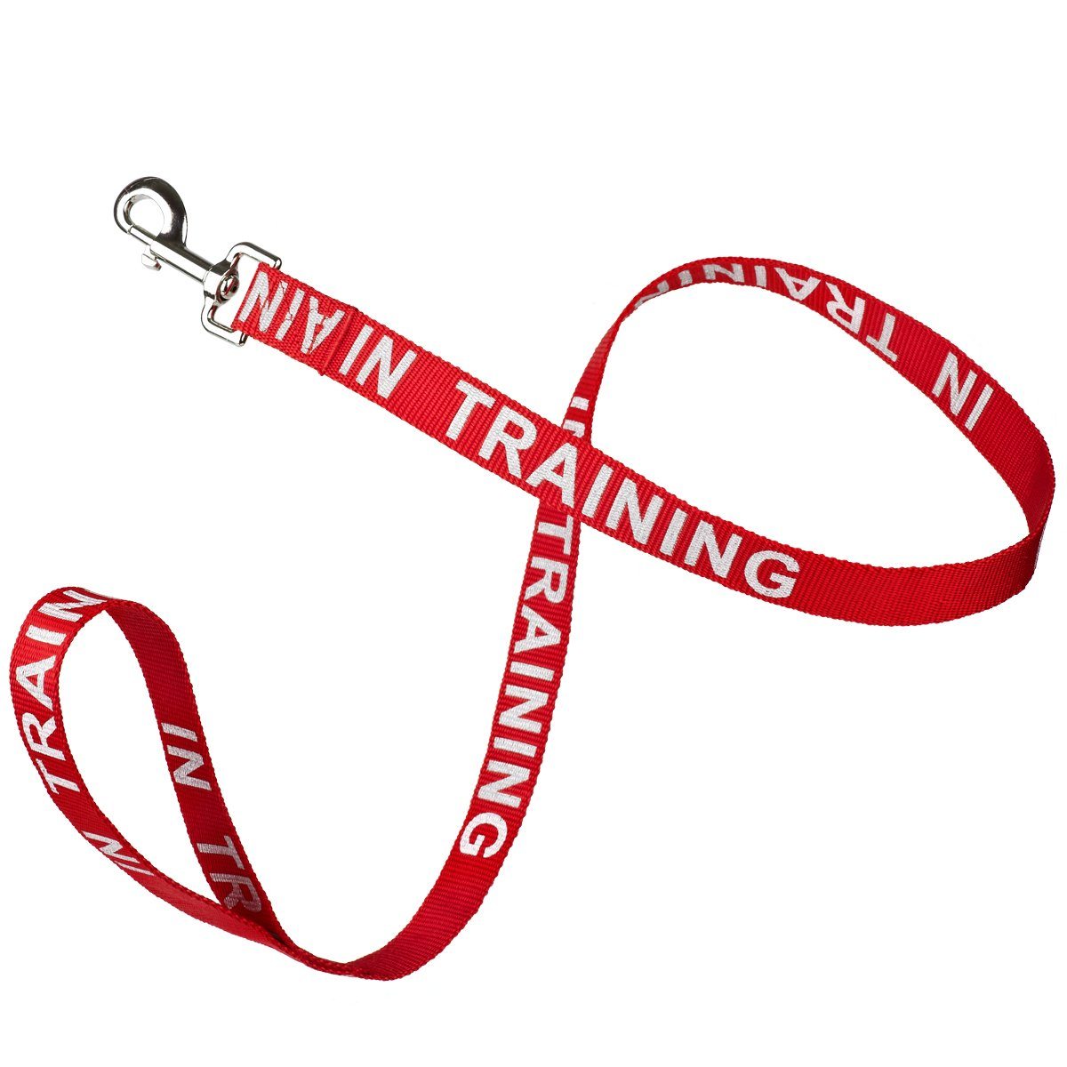 Msdfvs | Reflective Nylon Dog Leash – Evening Walks, Training Sessions & Outdoor Adventures