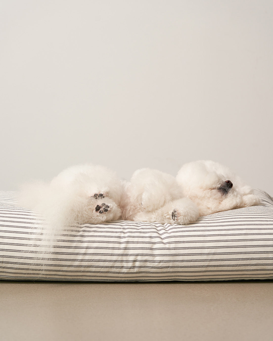 Msdfvs | Black Stripe Pet Bed for Structured Indoor Resting Areas