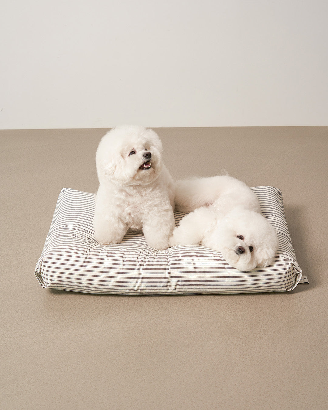 Msdfvs | Black Stripe Pet Bed for Structured Indoor Resting Areas