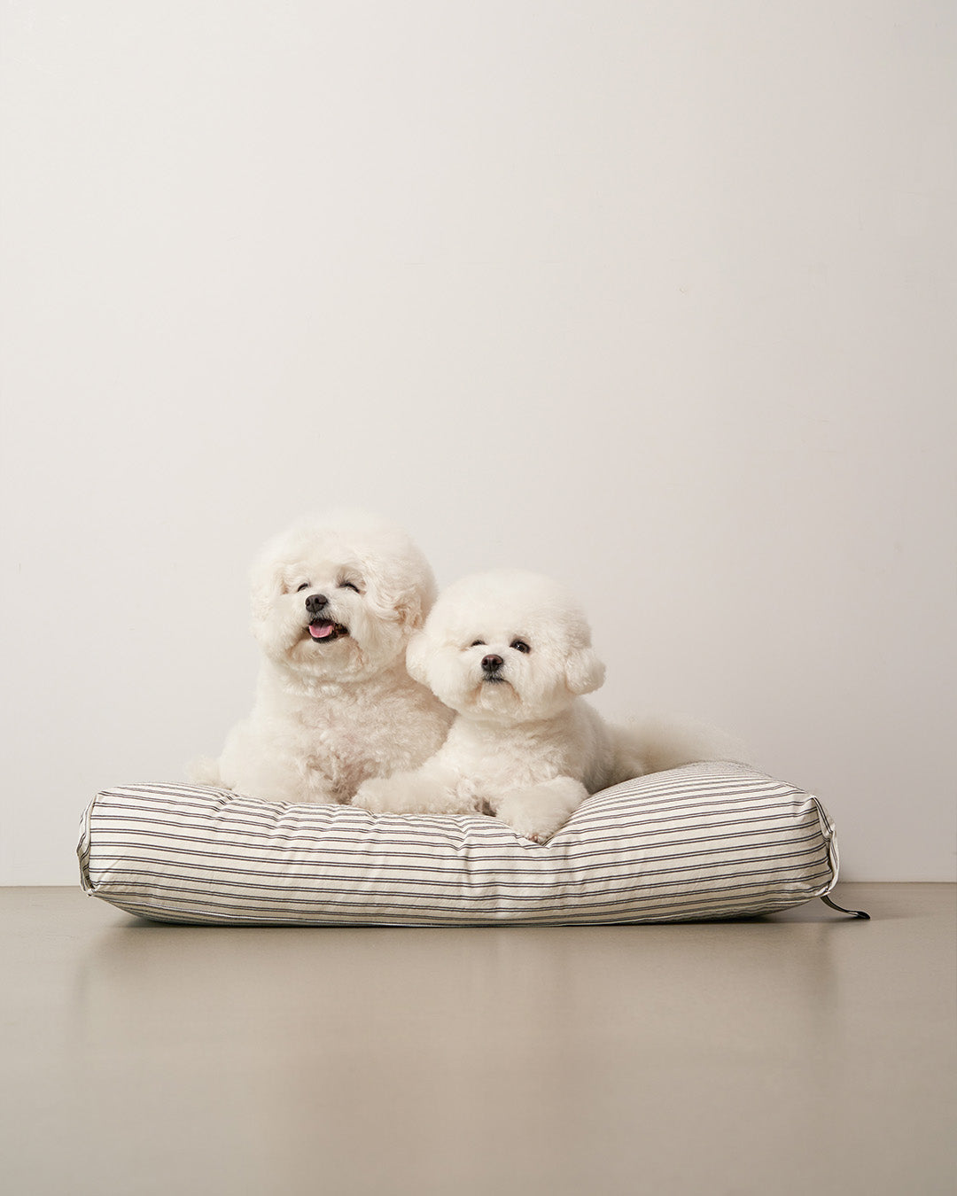 Msdfvs | Black Stripe Pet Bed for Structured Indoor Resting Areas