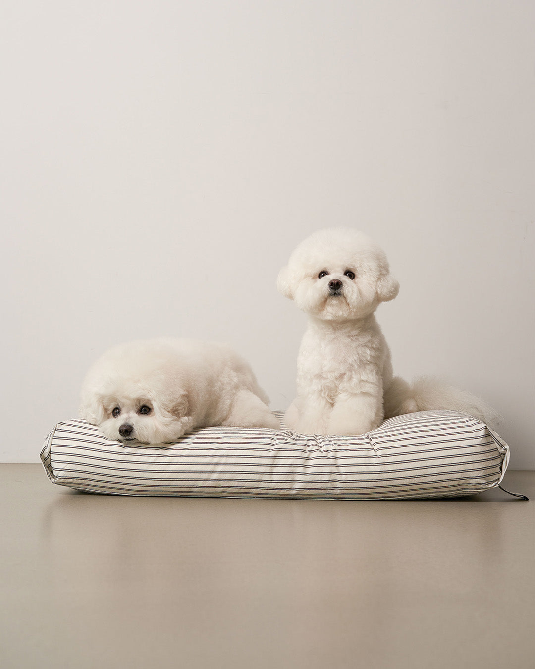 Msdfvs | Black Stripe Pet Bed for Structured Indoor Resting Areas